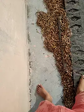 Desii rockstarr online show from 03.14.26