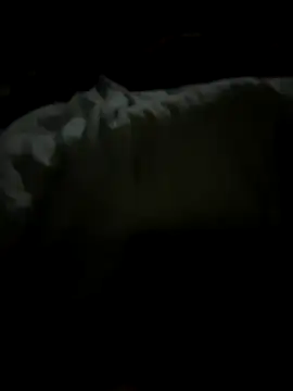 tundrata online show from 03.20.26