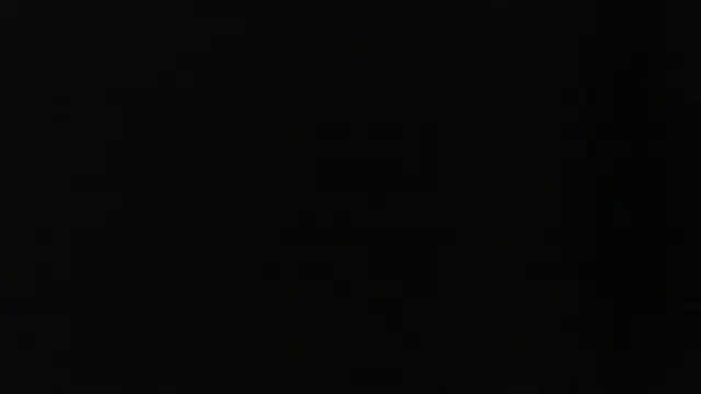 D dorman online show from 05.25.26