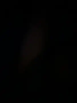 amartinezszz online show from 03.15.26