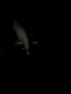 BronzedMask1 online show from 05.14.26