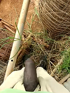 sanju 5418 online show from 04.05.26