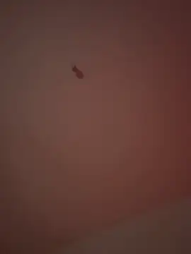 21cm19 online show from 03.29.26