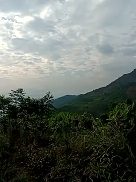 Snapshot of Meo-concute chatting on 05.14.26 Meo-concute online show from 05.14.26