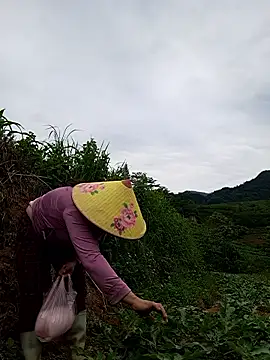 Nin-anna online show from 04.29.26