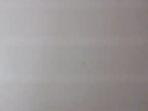 Zurii  online show from 04.12.26