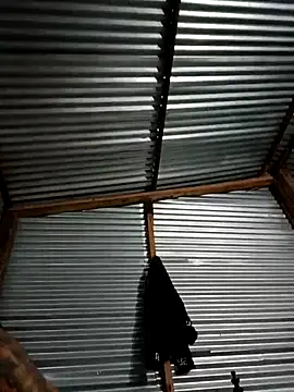 zandernoir online show from 03.20.26