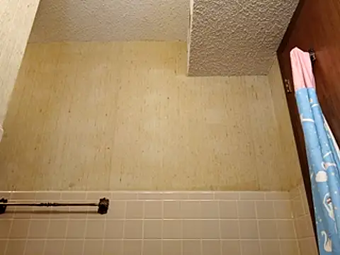 HexedPortrait online show from 04.23.26