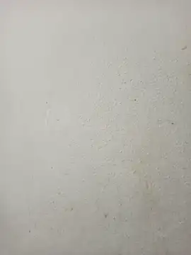 Snapshot of mardae chatting on 03.22.26 mardae online show from 03.22.26