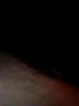 dannyboy8in online show from 03.24.26