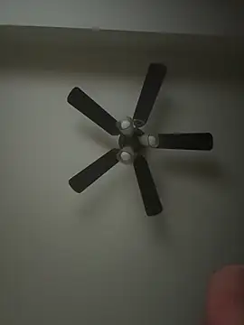 whitelioncody online show from 04.17.26