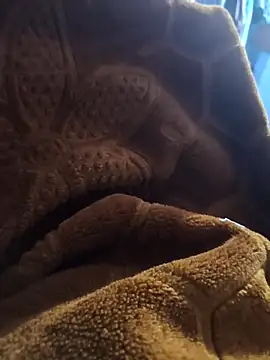 sexy-girl147 online show from 04.05.26