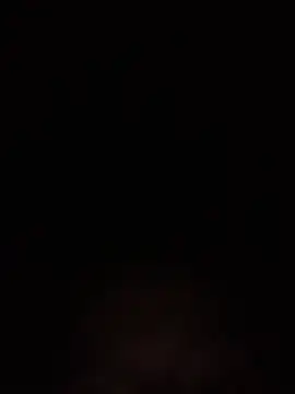 Cataleya2026 online show from 04.28.26