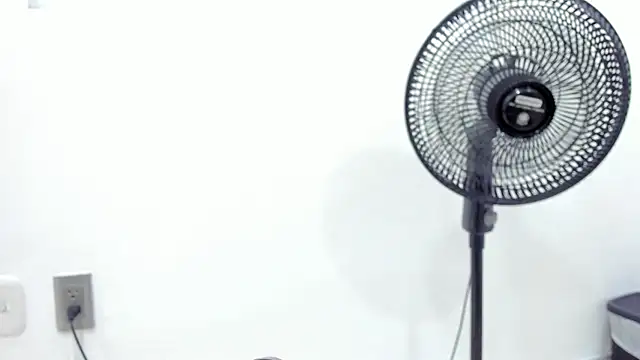 noah chips  online show from 04.07.26