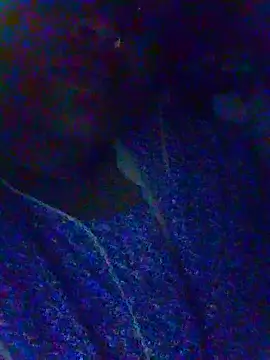 riyaa sexyy online show from 05.07.26