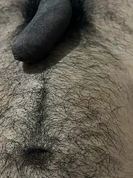 profetabr26 online show from 07.12.26