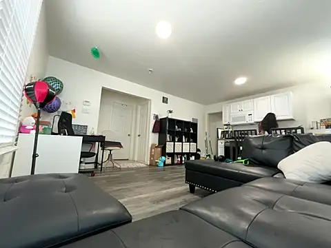 LinaGS online show from 04.01.26