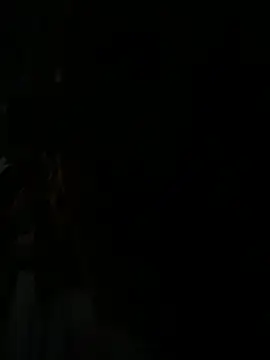 Smith2113pv online show from 04.02.26