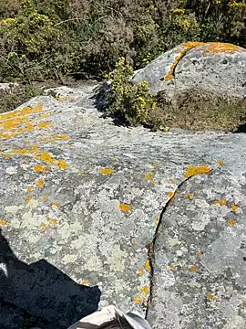 Adventure wifeandblack online show from 04.03.26