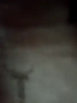 Datachange online show from 04.03.26