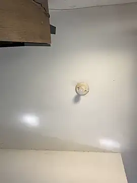 sanches 065 online show from 04.06.26