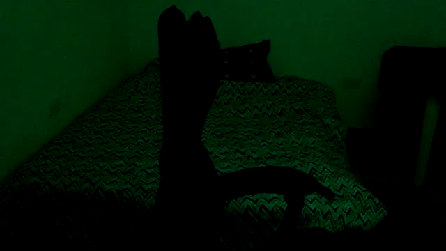 Bandida553 online show from 07.09.26