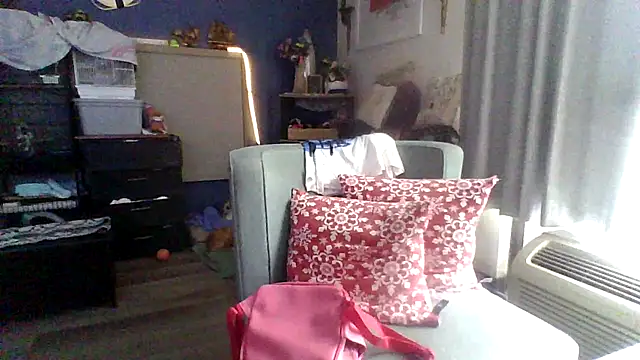 Snapshot of Dicksee_Left chatting on 04.29.26 Dicksee Left online show from 04.29.26