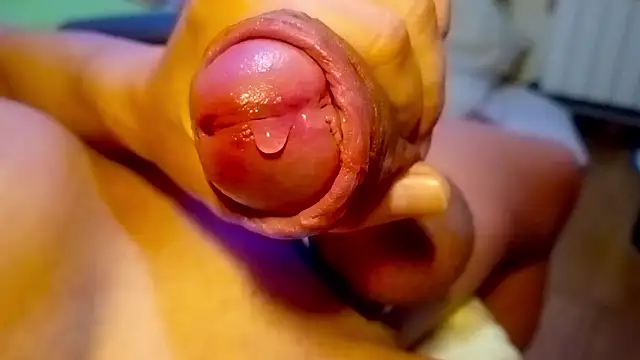 wankdick online show from 04.23.26