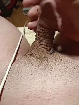 wankdick online show from 06.20.26