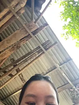 Swan 69 online show from 04.21.26