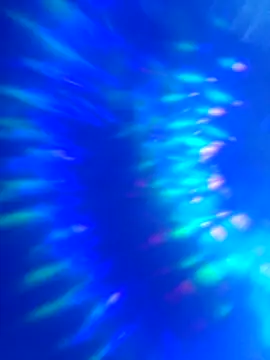 world6kingsss online show from 04.23.26