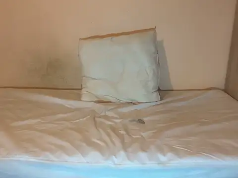 Snapshot of crazytranny chatting on 01.18.25 crazytranny online show from 01.18.25