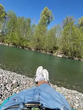 Wolf 18cm online show from 04.25.26