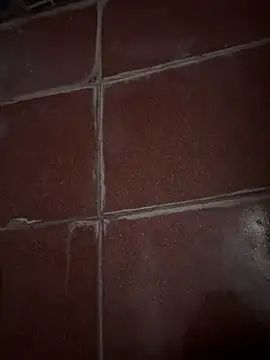 BBCHORNEYDADDY online show from 04.27.26