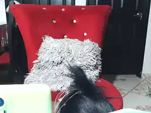 jannyheat online show from 01.17.25