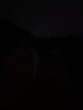 D0LLF4CE online show from 05.03.26