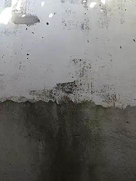 Carlosxnts online show from 06.24.26