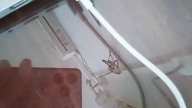 Joey-988 online show from 07.10.26