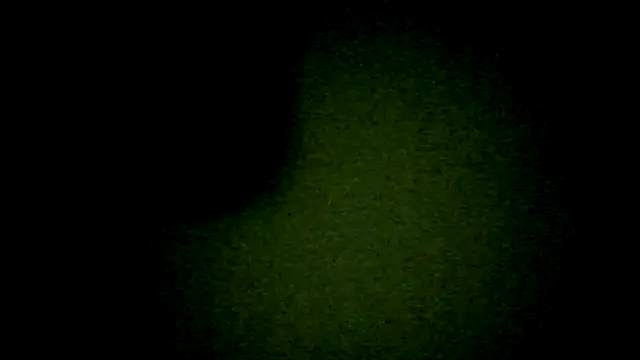 Snapshot of OSCAR103333 chatting on 07.31.26 OSCAR103333 online show from 07.31.26