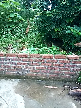 Snapshot of Chin-ni chatting on 06.29.26 Chin-ni online show from 06.29.26