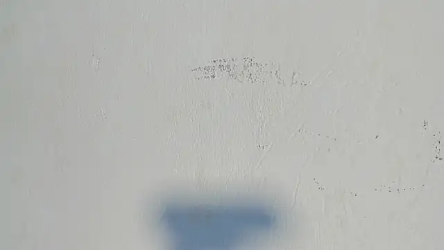 dakotadolly online show from 07.29.26
