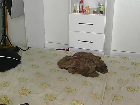 SexyLi  online show from 07.30.26