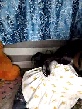 Snapshot of pinki-rani1 chatting on 07.07.26 pinki-rani1 online show from 07.07.26