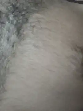 DesiBoy Live online show from 08.02.26
