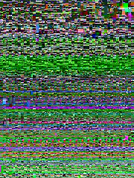 Snapshot of midog2026 chatting on 08.01.26 midog2026 online show from 08.01.26