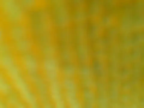 Snapshot of OGXXXOG chatting on 03.16.25 OGXXXOG online show from 03.16.25