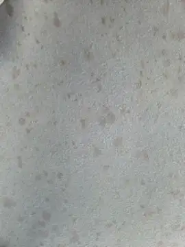 415cali925 online show from 03.17.26