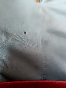 FriskyGender online show from 10.17.25