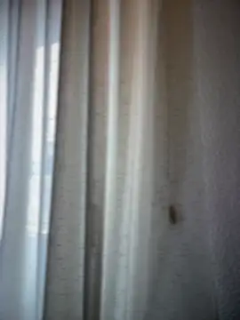 Snapshot of Chic_desire chatting on 03.20.26 Chic desire online show from 03.20.26