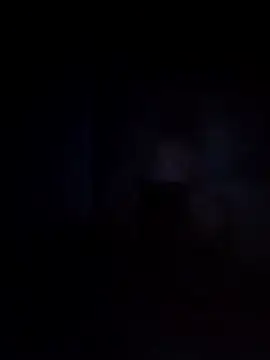 Snapshot of Biknight chatting on 12.12.24 Biknight online show from 12.12.24